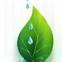 Eco-Friendly Cleaning
